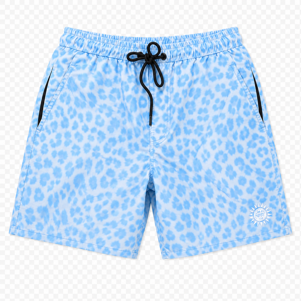 Cheetah in sea